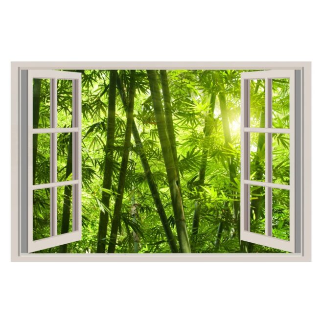 ventana falsa bosque